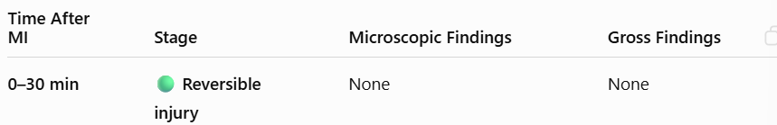 <p><span style="background-color: transparent; font-family: "Times New Roman", serif;"><strong>0–30 min:</strong> Reversible injury. <strong>Gross/Micro:</strong> None.</span></p>
