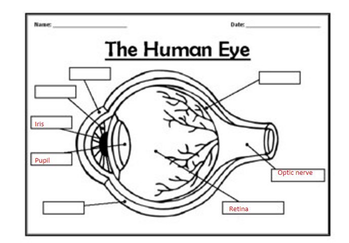 <p>more details on hand out</p>