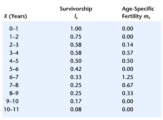 <p>an age-specific summary of the survival pattern of a population </p><ul><li><p>made by following fate of group of ind. of same age </p></li><li><p><strong>survivorship curve</strong></p></li></ul><p></p>