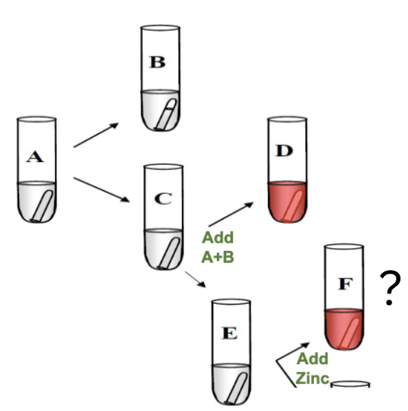 <p>After adding Solution A+B, then Zinc powdered for Nitrate Reduction, you see a color change. What does this mean? </p>