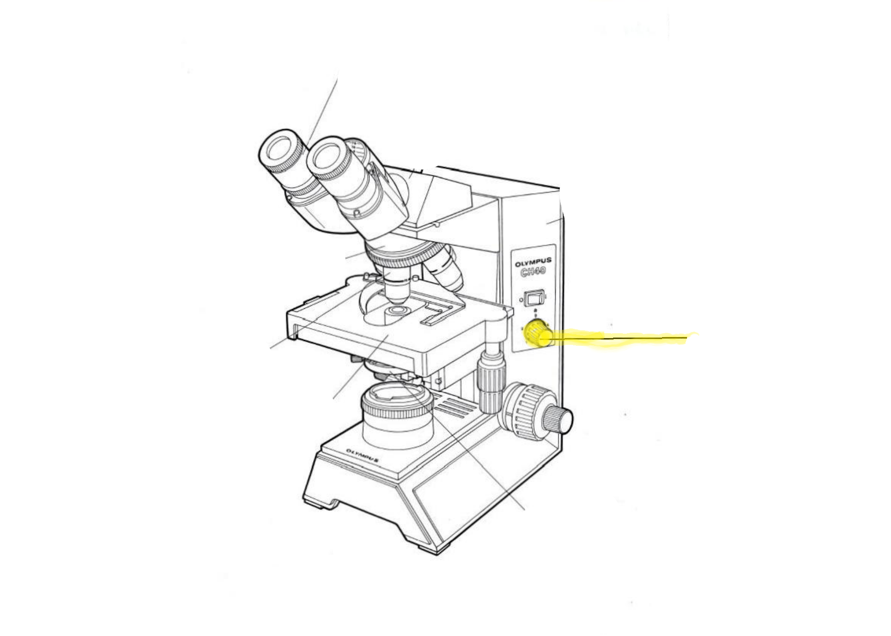 <p>Label the part of the microscope highlighted in yellow</p>