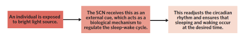 <p><span style="font-family: Aptos, sans-serif;">is a method used to adjust an individual’s circadian rhythm through exposure to high-intensity light source. Works to readjust the circadian rhythm.</span></p><p><span style="font-family: Aptos, sans-serif;">Session last from 15 minutes to a couple of hours, conducted a few times a day.&nbsp;</span>Minor improvements are seen in first few days, significant results are seen over a few weeks.&nbsp;&nbsp;&nbsp;</p>