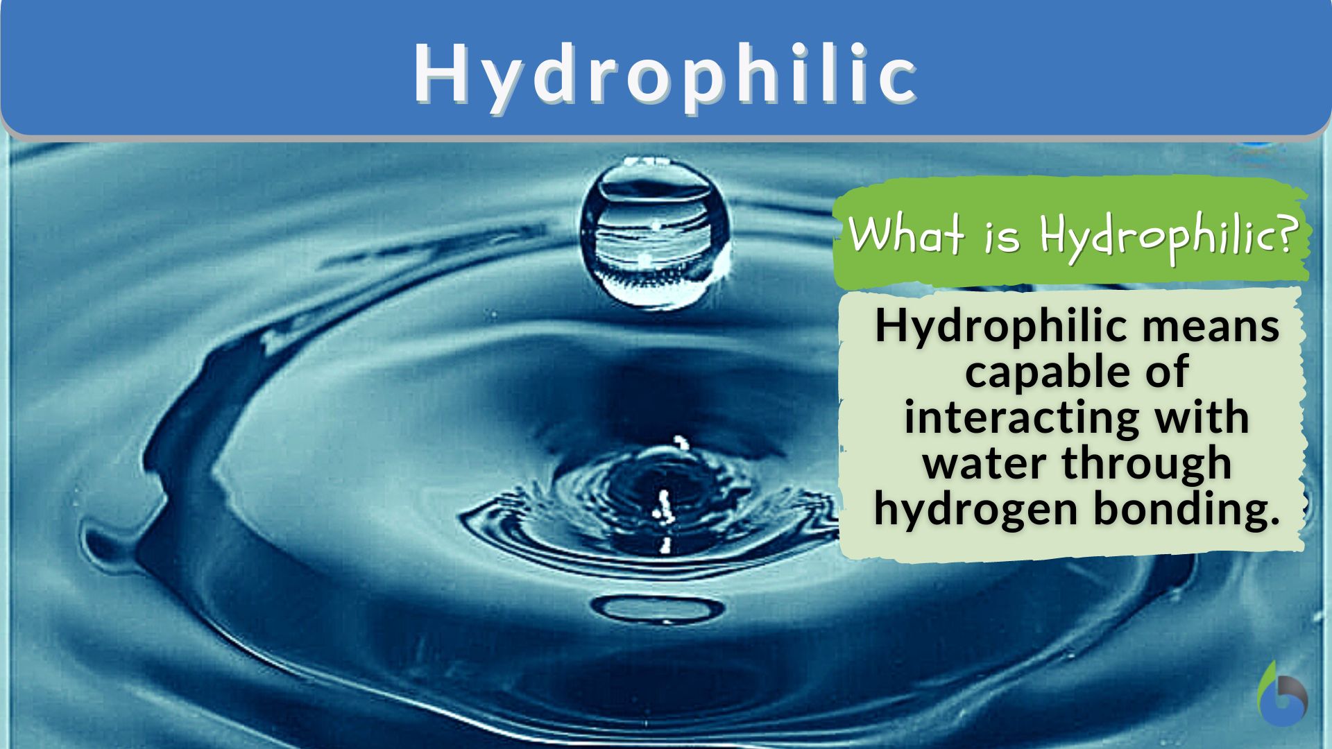 <p>Hydriophilic compounds</p>
