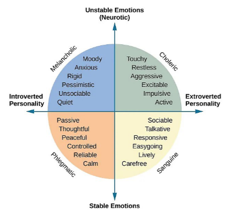 <p>Sanguine: blood</p><ul><li><p>extroverted personality and stable emotions</p></li></ul><p>Choleric: yellow bile</p><ul><li><p>extroverted personality and unstable emotions (neurotic)</p></li></ul><p>Melancholic: black bile</p><ul><li><p>introverted personality and unstable emotions</p></li></ul><p>Phlegmatic: Phlegm </p><ul><li><p>introverted personality and stable emotions </p></li></ul><p></p>