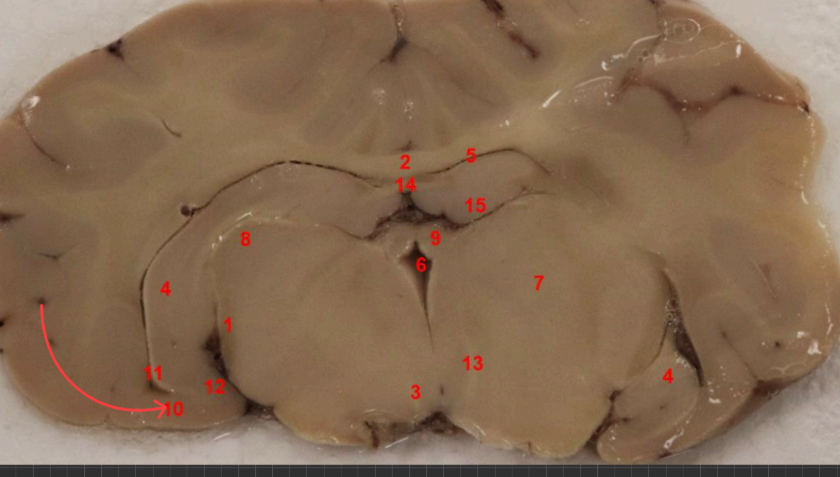 <p>what is this </p>