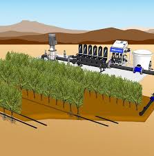 <p>subsurface drip irrigation</p>