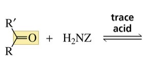 <p>Reaction with a primary amine forms…</p>