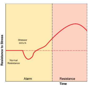 <ul><li><p>Surge capacity: mental and physical resources to cope for a longer period of time</p><ul><li><p>Increased cortisol synthesis, liver makes glucose for energy, increased lipid mobilization, muscle decreases protein synthesis</p></li></ul></li><li><p>Increased Cortisol, energy usage - Just trying to cope for a hot minute</p></li></ul><p></p>
