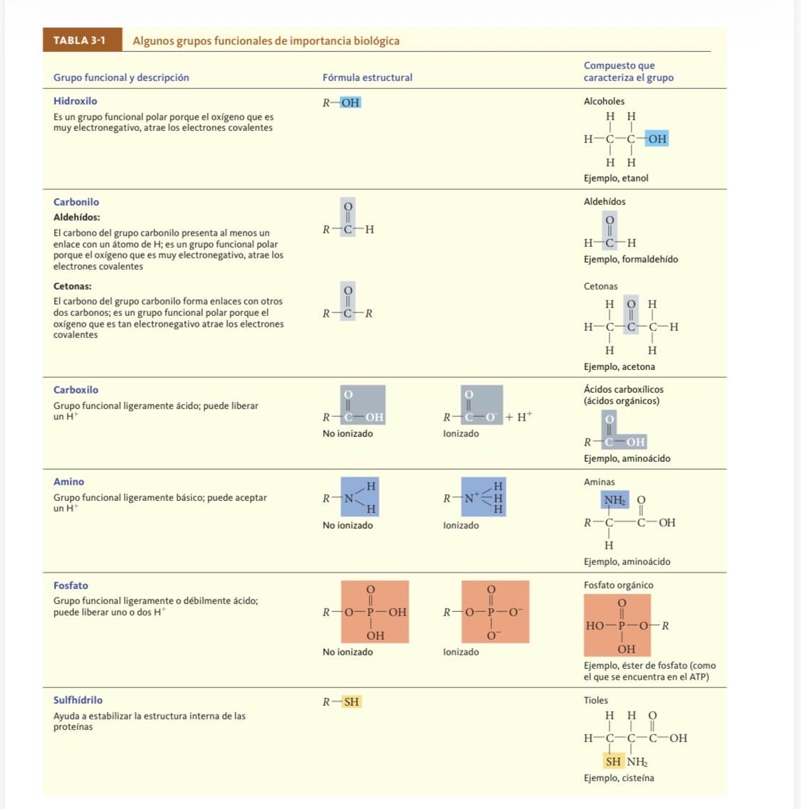<p>Es una combinación especifica de átomos enlazados que siempre reaccionan de la misma forma sin importar el esqueleto de carbono que están vinculados</p><ol><li><p>Hidróxilo: Un átomo de oxígeno unido a un átomo de hidrogeno </p></li><li><p>Carbonilo: Un átomo de carbono unido por un enlace covalente doble con un átomo de oxígeno </p></li><li><p>Carboxilo: Un átomo de carbono unido mediante un enlace covalente doble a un átomo de oxigeno y por un enlace covalente simple a otro oxígeno, que puede estar unido a un átomo de hidrógeno</p></li><li><p>Amino: Un átomo de nitrógeno unido covalente mente a dos o tres átomos de hidrógeno</p></li><li><p>Fosfato: un átomo de fósforo unido a cuatro átomos de oxígeno</p></li><li><p>Sulfihidrilo: un atomo de azufre unido covalente mente a un atomo de hidrógeno</p></li></ol><p></p>