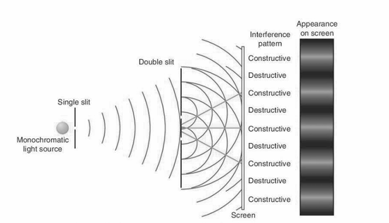 <p>• Diffraction occurs at each slit, which means the slits act as coherent wave sources, separated by roughly the same distance as the wavelength of visible light. Interference occurs between these source waves, resulting in regions of destructive interference (showing up as darkness on the screen) and constructive interference (bright fringes on the screen). </p><p>• Constructive interference is when the resultant wave is of greater amplitude than source waves, which equates to brightness. This occurs when their path difference from the wave sources is 𝑛𝜆. </p><p>• Destructive interference is when the resultant wave is of smaller amplitude than source waves, which equates to darkness. This occurs when their path difference is (𝑛 + 1 2 )𝜆.</p>