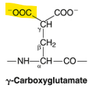 <ul><li><p>gains carboxyl group (a - charge) </p></li><li><p>can now have calcium (2+) bind to it which will help in the blood cascade by stabilizing the charges<em> (Helps stabilize the 2 negative charges (2 COO- groups) since it is Ca2+)</em></p></li></ul><p></p>