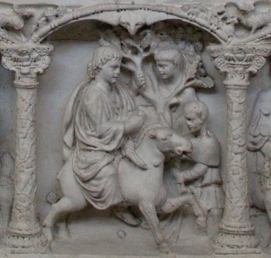 term image