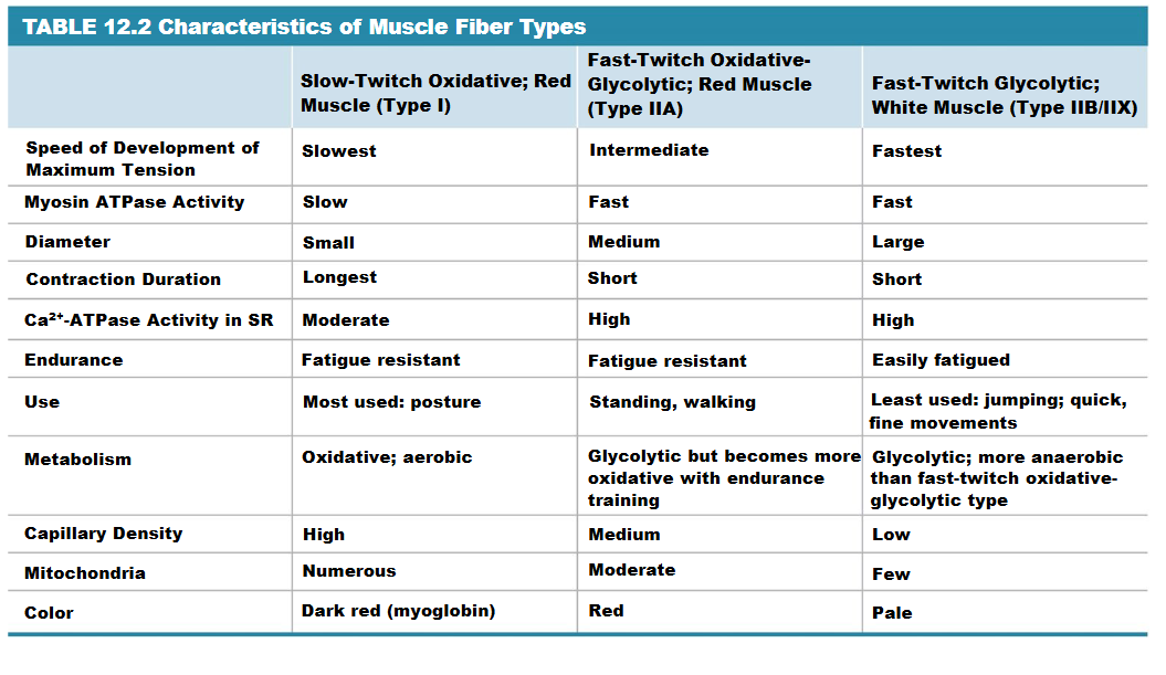 <p>Analyze the table and rewrite important info/differences</p>