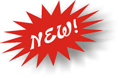 <p>new (fem. sing)</p>