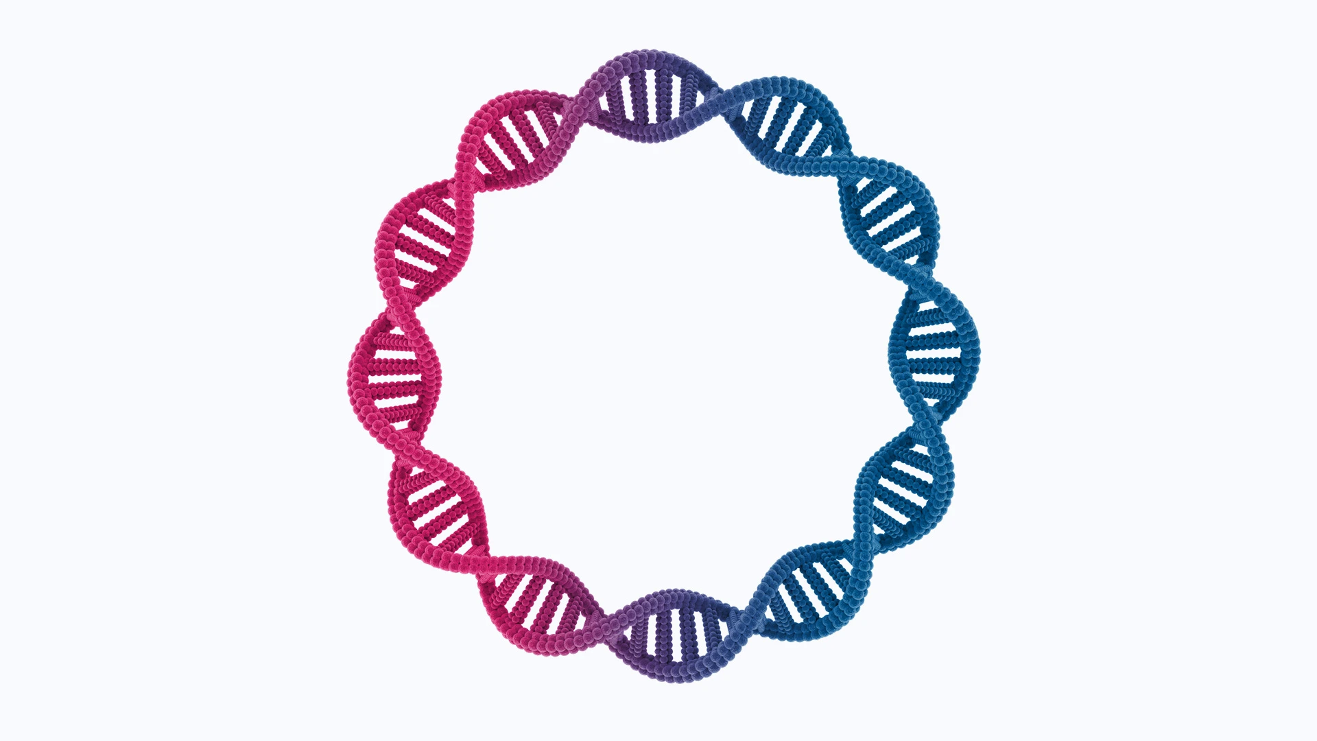 <p>Circular DNA distinct from a cells chromosomal dna</p>