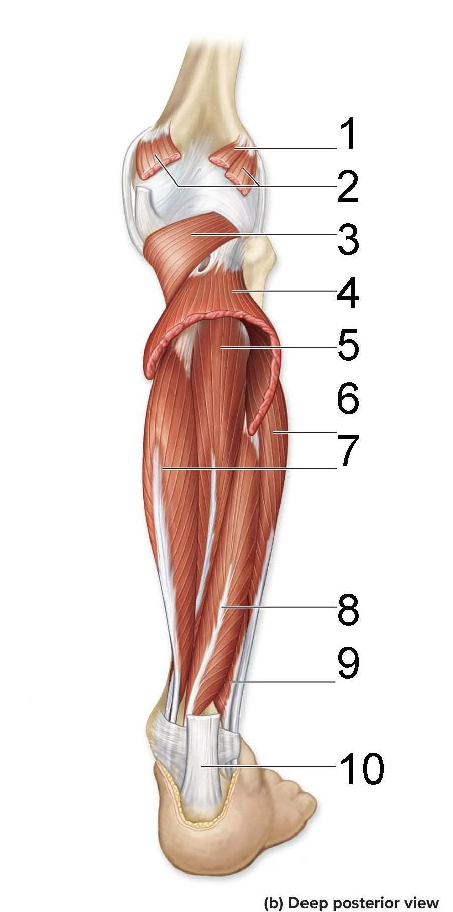 <p>What is identified in the photo 1-9</p>