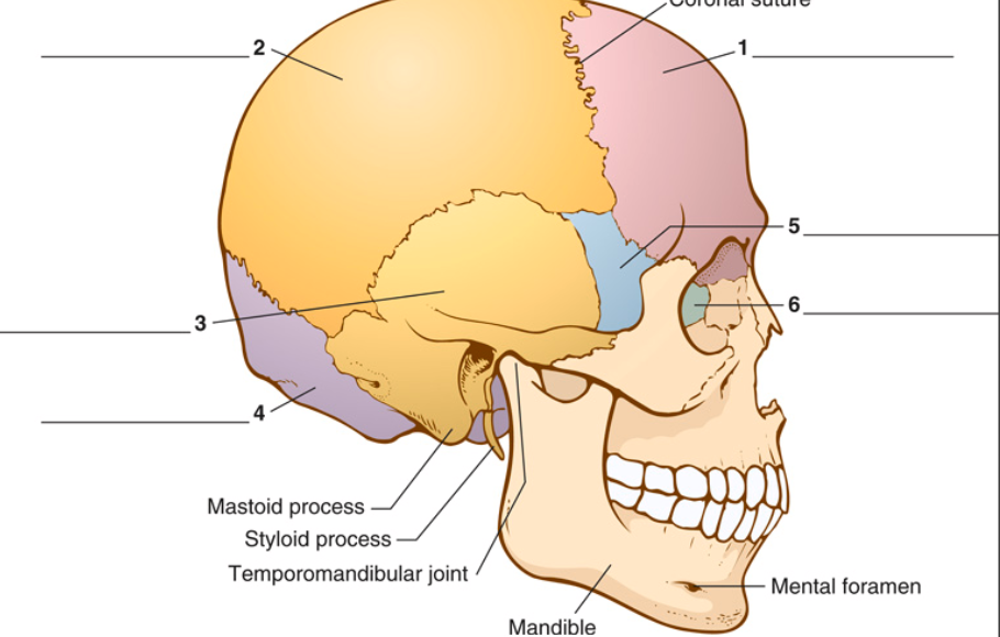 <p>6</p>