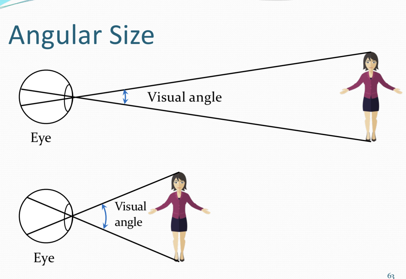 <p>the visual angle an object subtends in the observer's field of view.</p>
