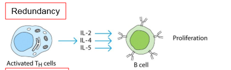 <ol><li><p>IL-2</p></li><li><p>IL-4</p></li><li><p>IL-5</p></li></ol><p>→ proliferatie B-cel</p>