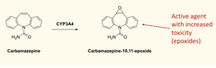 <p>- It induces CYP3A4 activity which metabolises carbamazepine.</p><p>- Therefore it induces its own metabolism which can lead to interactions.</p>