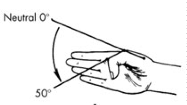 <p>Between metacarpal and proximal phalanx</p><p>Ginglymus (Hinge)</p><ul><li><p>Flexion / Extension </p></li></ul><p></p>