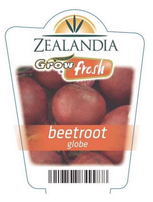 <p>Beetroot: Globe</p>