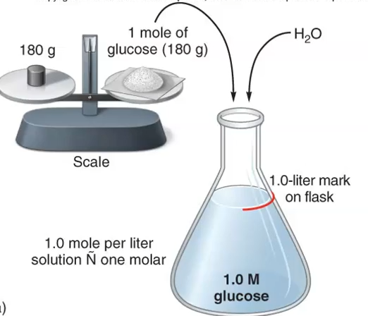 <p>A measure of solute concentration — 1 molar solution (1.0M) = 1 mole of solute dissolved in a total of 1 liter of solution.</p>