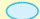 <p>What is the morphology of this bacteria?</p>