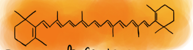 <p><span>carotenoids </span></p>