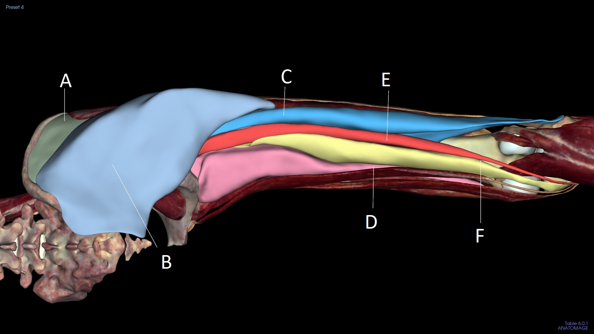 <p>B</p>