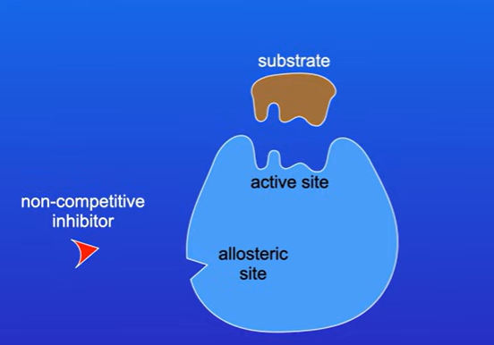 <p>A different site on the enzyme molecule. this is called the allosteric site.</p><p></p>