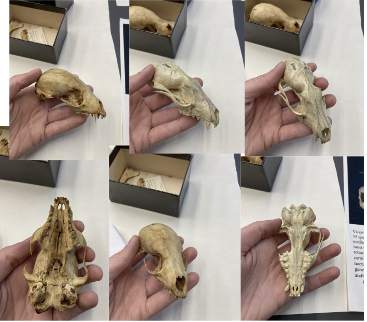 <p>What is this?</p>