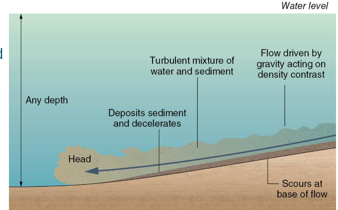 <p>turbulent flow</p><p>always on submerged (submarine) slopes</p><p>driven by density differences</p><p>deposits a normally graded bed</p>