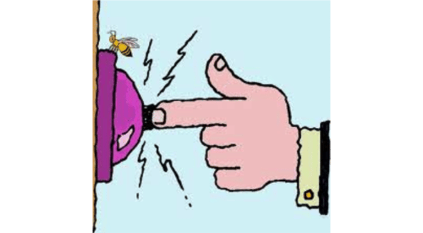 <p>doorbell; call button</p>