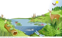 <p>A biological community of interacting organisms and their physical environment.</p>