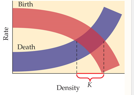 <p>Demographic stochasticity is a random fluctuation in birth and death rates. This causes K to fluctuate. </p>