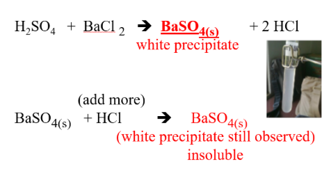 <p><span style="line-height: 0px;">NON-METALLIC IONS​: </span><strong>SO</strong><span style="background-color: inherit;"><strong><sub>4</sub><sup>–2</sup> (sulfate)</strong></span></p>