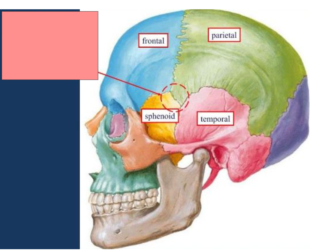 <p>What is this structure</p>