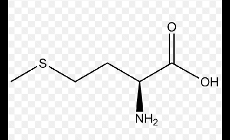 <p>name this amino acid</p>
