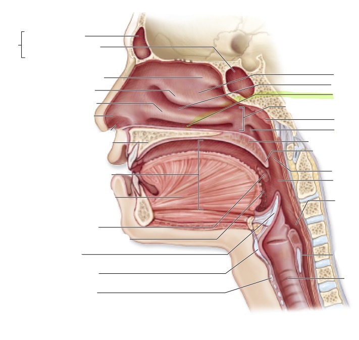 <p>what is this </p>