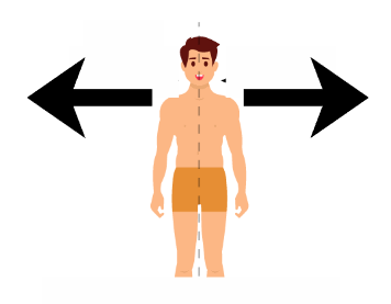 <p><em>what directional term is this?</em></p>