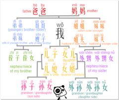 <p>sǎo zi - older brother's wife</p>