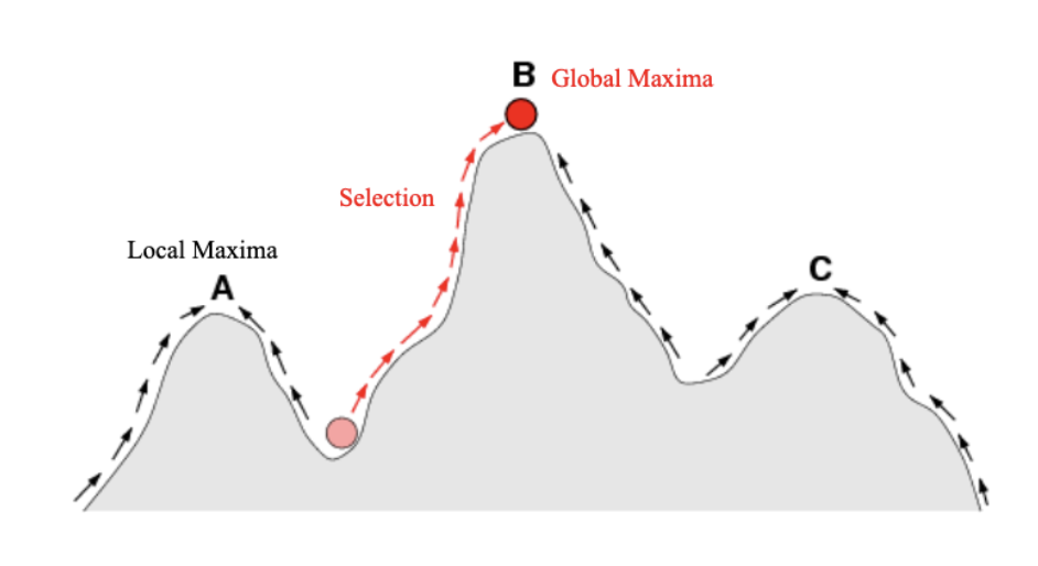 <p>What might allow the red population to leave the global maximum?</p>