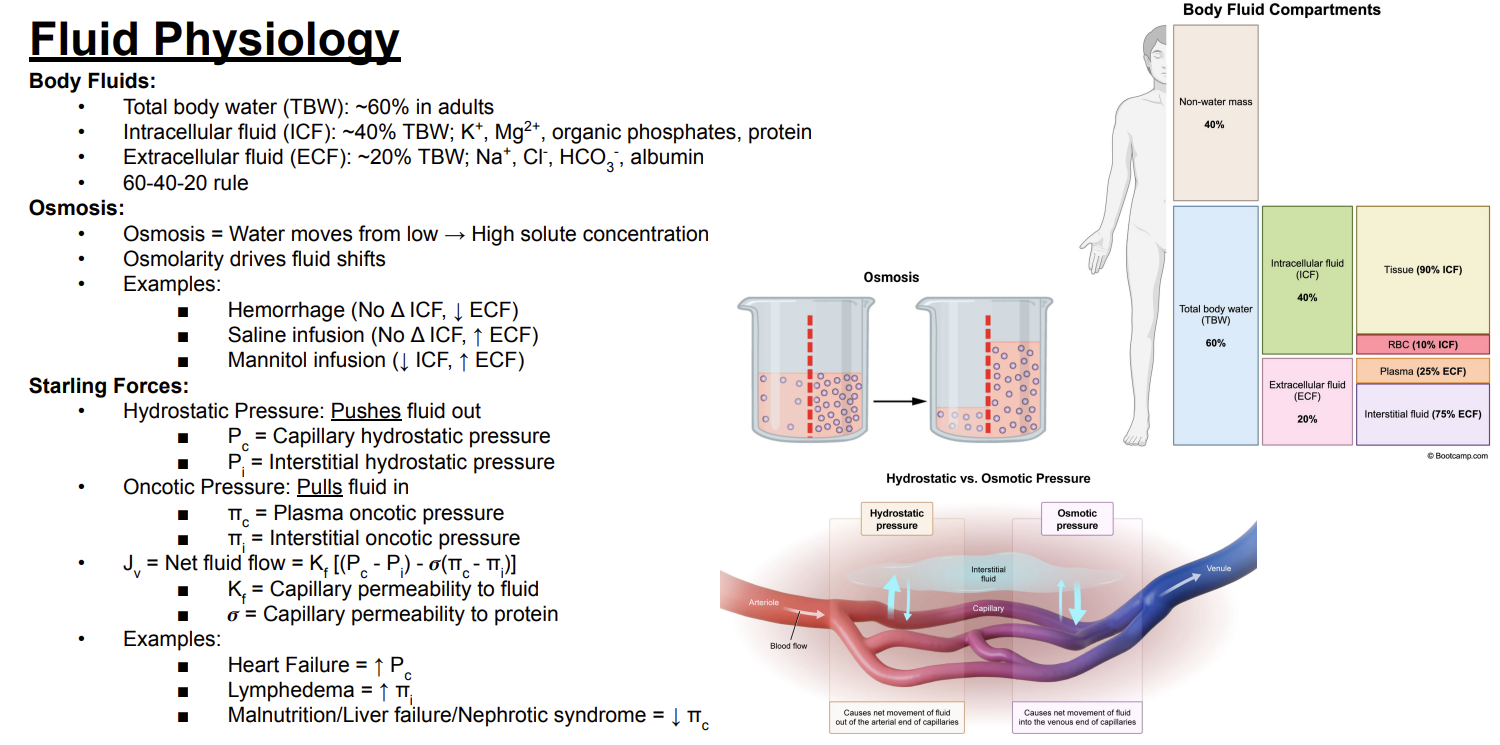 <p>Answer: They decrease plasma oncotic pressure.</p><p>Extra Information:</p><ul><li><p>Malnutrition, liver failure, and nephrotic syndrome → decreased πc.</p></li><li><p>Plasma oncotic pressure normally pulls fluid in.</p></li></ul><p></p>