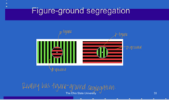 <p>Does rivalry have figure-ground segregation?</p>