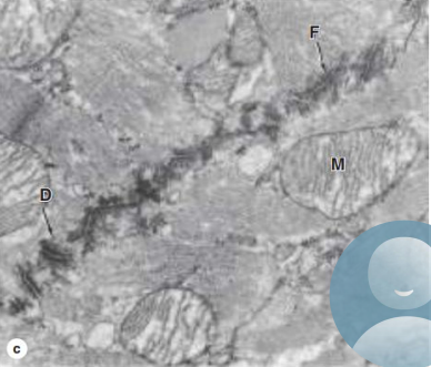 <p>what is being shown here?</p>