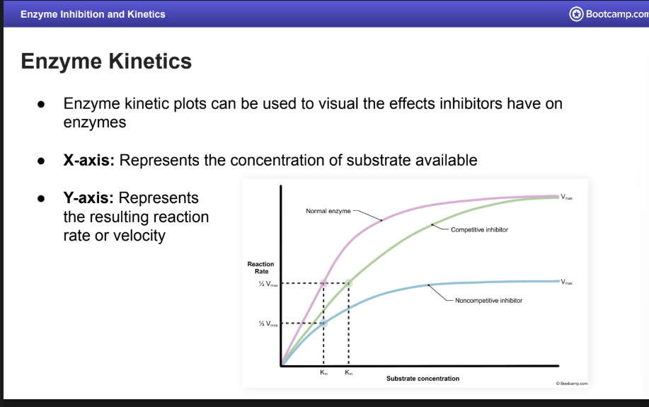 <ul><li><p>Enzyme kinetic plots can be used to visual the effects inhibitors have on enzymes</p></li><li><p><strong>X-axis: </strong>Represents the concentration of substrate available</p></li><li><p><strong>Y-axis:</strong> Represents the resulting reaction rate or velocity</p></li></ul><p></p>