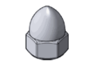 <p>Acorn</p>