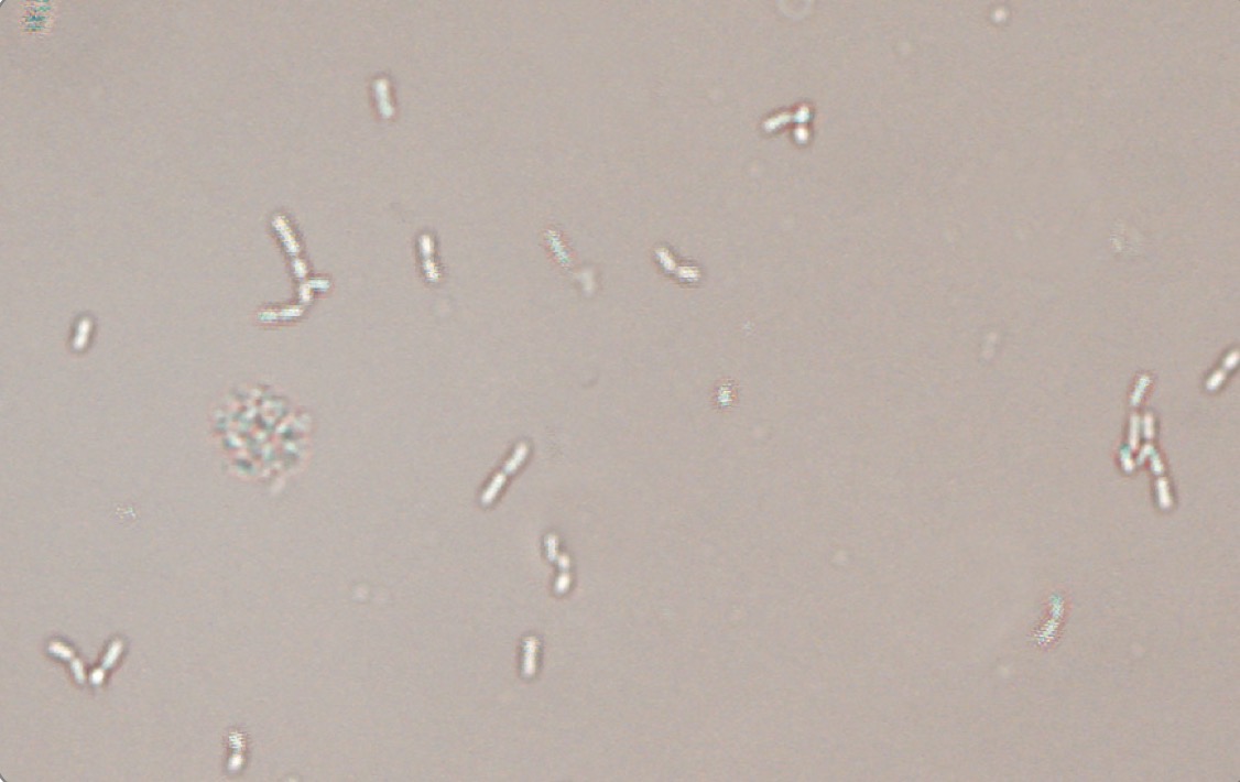 <p>What is this?</p>