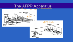 <p>AFPP Apparatus (Pic)</p>